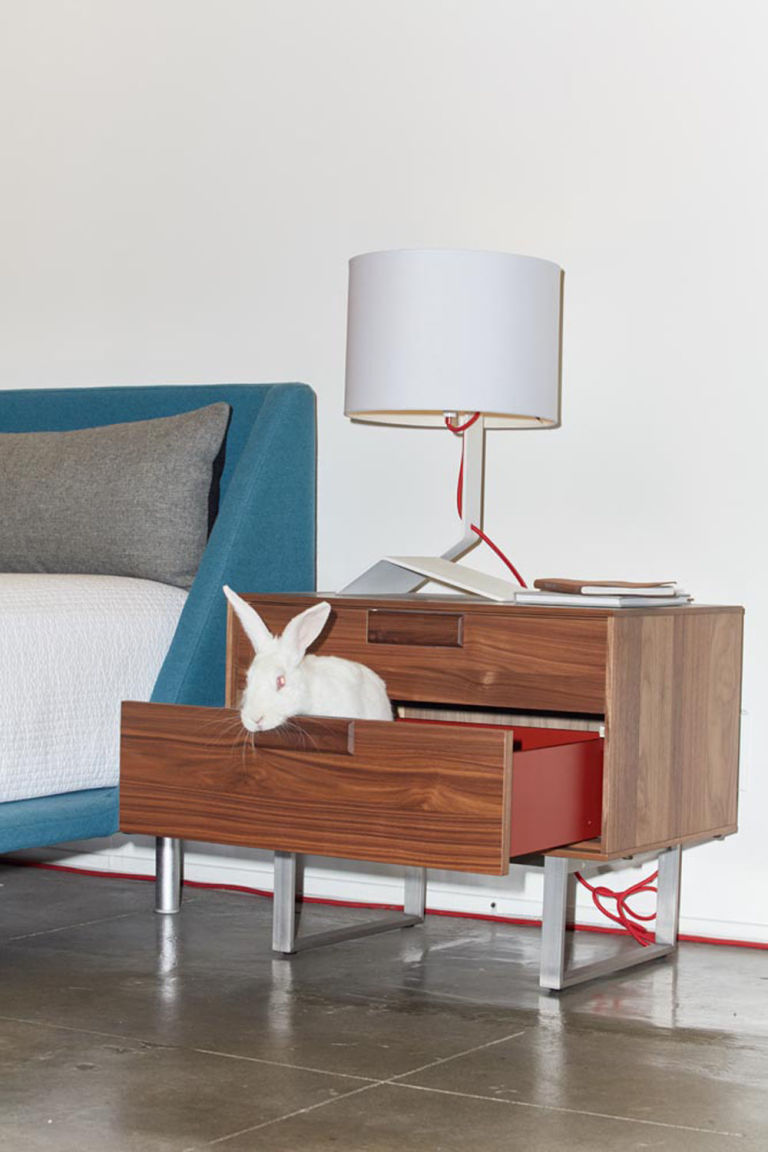 Adoptable Animals Pose On Blu Dot Furniture - Tracey Stewart Hasn't Quite Figured Out If She'd Rather Sleep On The Nookbed Or Just In The Series Nightstand—the Bender Table Lamp Playfullyechoes The adoptable animals pose on blu dot furniture - tracey stewart hasn't quite figured out if she'd rather sleep on the nookbed or just in the series nightstand—the bender table lamp playfullyechoes the